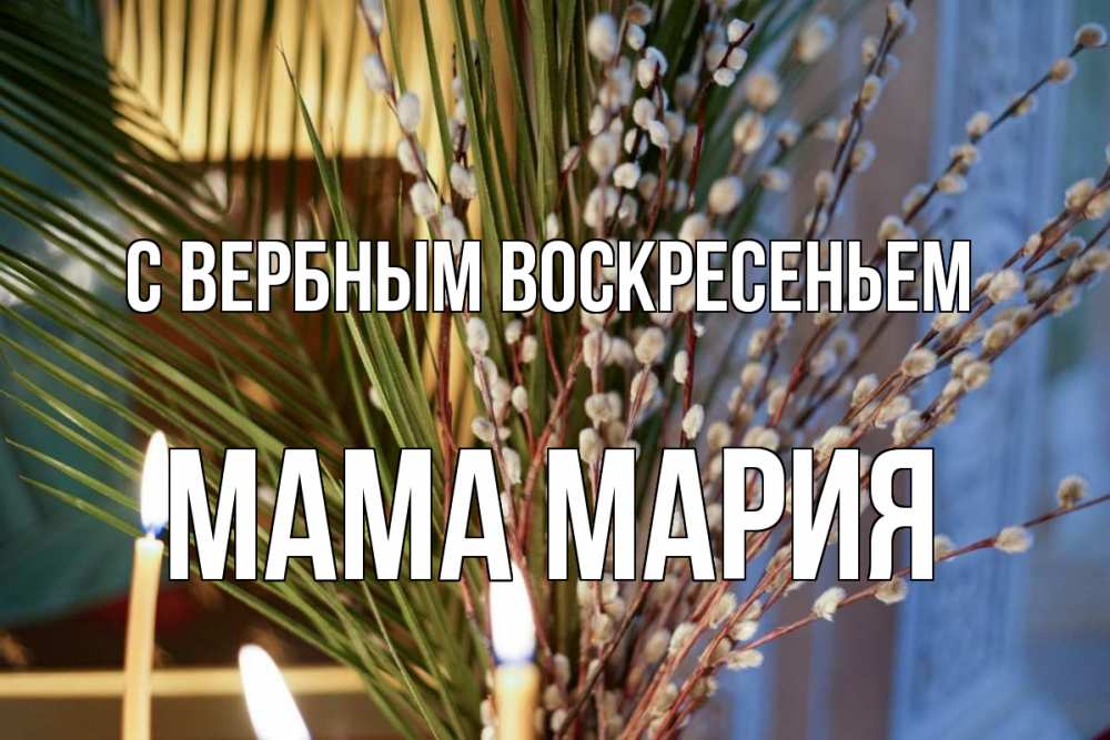 Открытка на каждый день с именем, Мама-Мария С вербным воскресеньем верба Прикольная открытка с пожеланием онлайн скачать бесплатно 