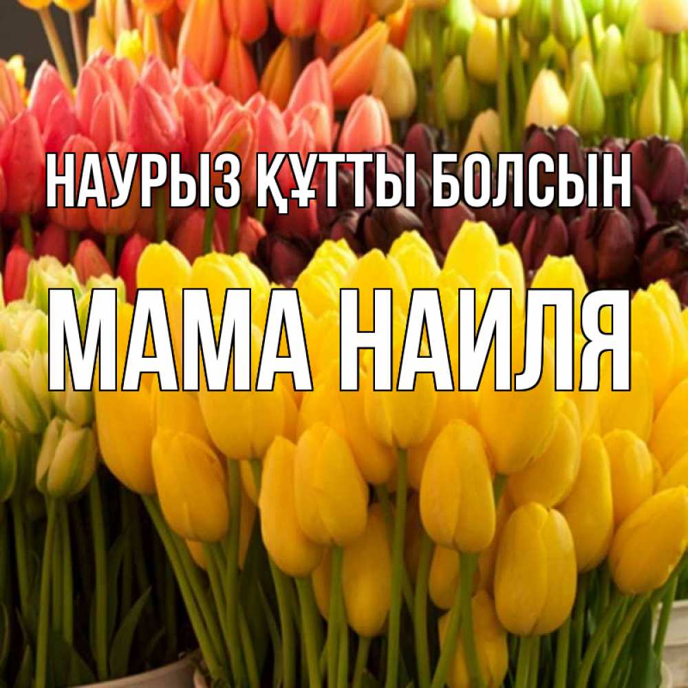 Открытка на каждый день с именем, Мама-Наиля Наурыз құтты болсын цветы Прикольная открытка с пожеланием онлайн скачать бесплатно 