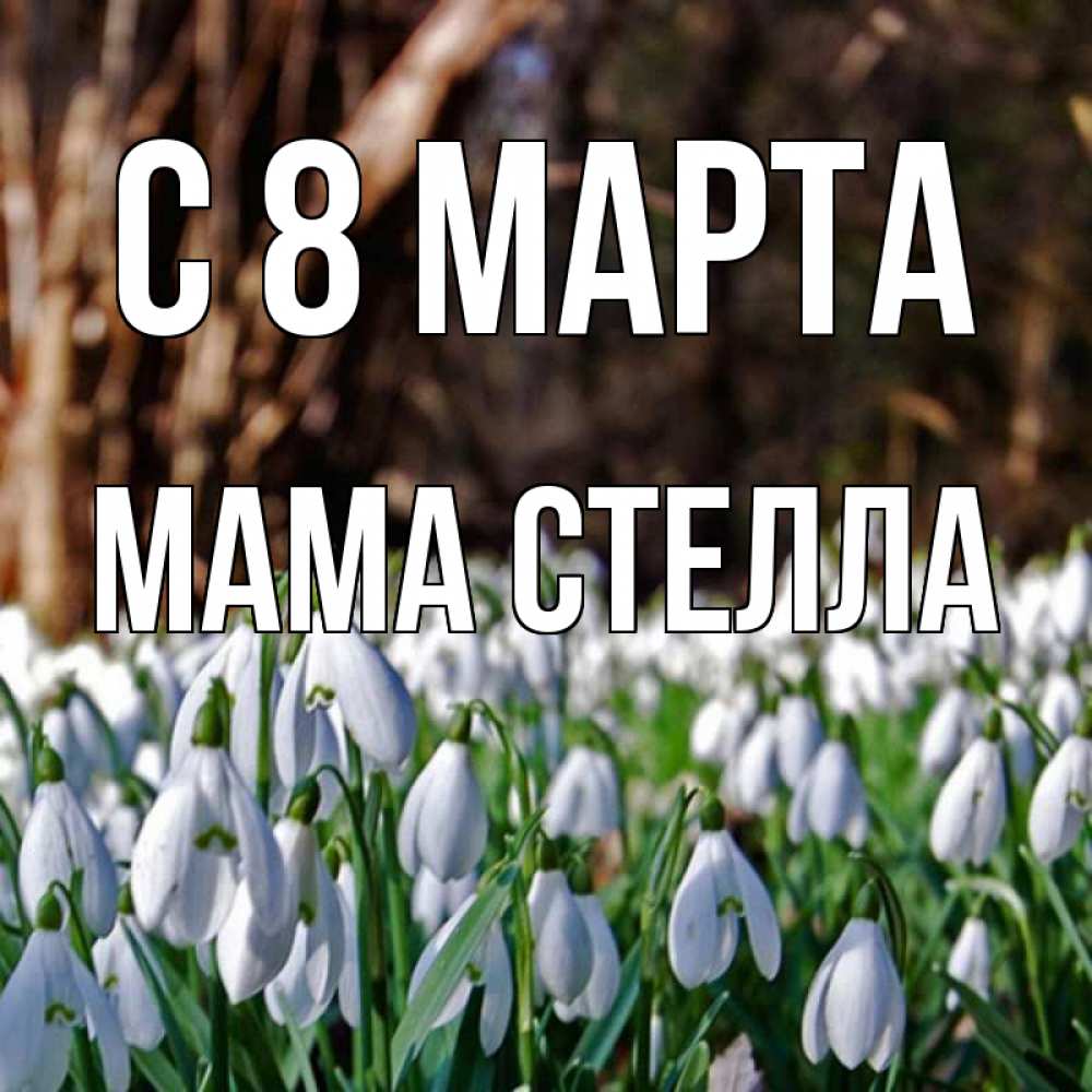 Открытка на каждый день с именем, Мама-Стелла С 8 МАРТА с подснежниками 1 Прикольная открытка с пожеланием онлайн скачать бесплатно 