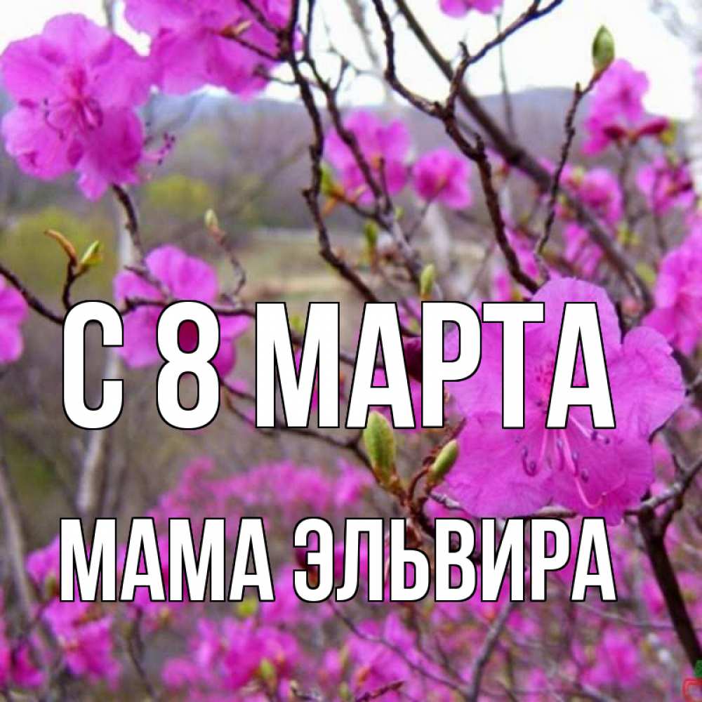 Открытка на каждый день с именем, Мама-Эльвира С 8 марта международный женский день Прикольная открытка с пожеланием онлайн скачать бесплатно 