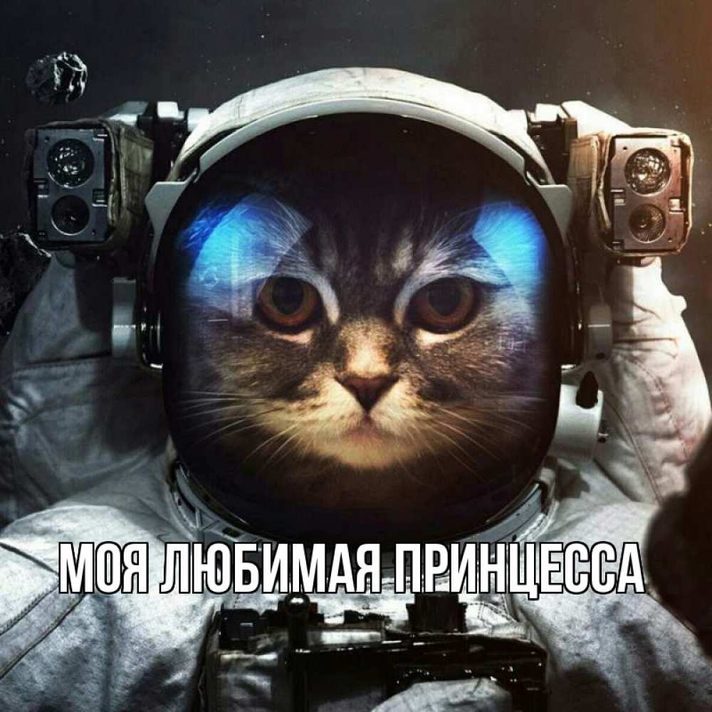 Открытка на каждый день с именем, Моя-Любимая-Принцесса Главная желает удачно добраться Прикольная открытка с пожеланием онлайн скачать бесплатно 