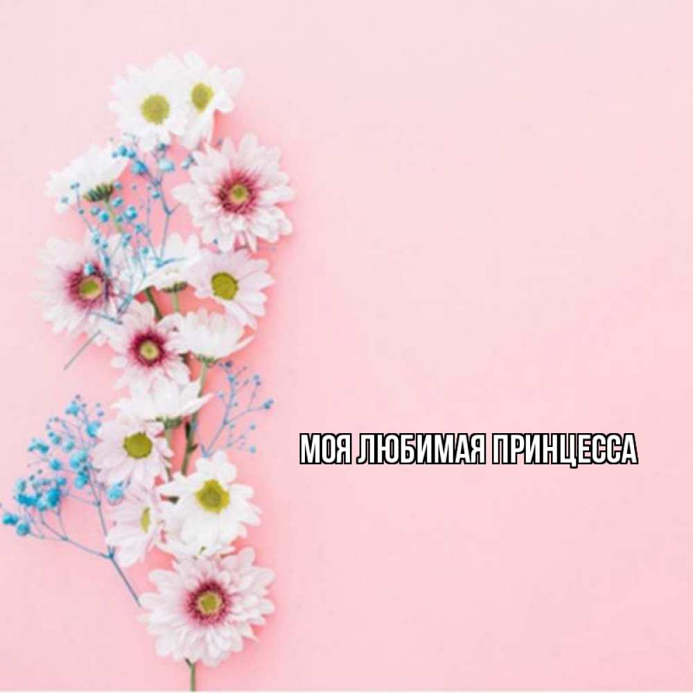 Открытка на каждый день с именем, Моя-Любимая-Принцесса Главная цветы с подписью Прикольная открытка с пожеланием онлайн скачать бесплатно 