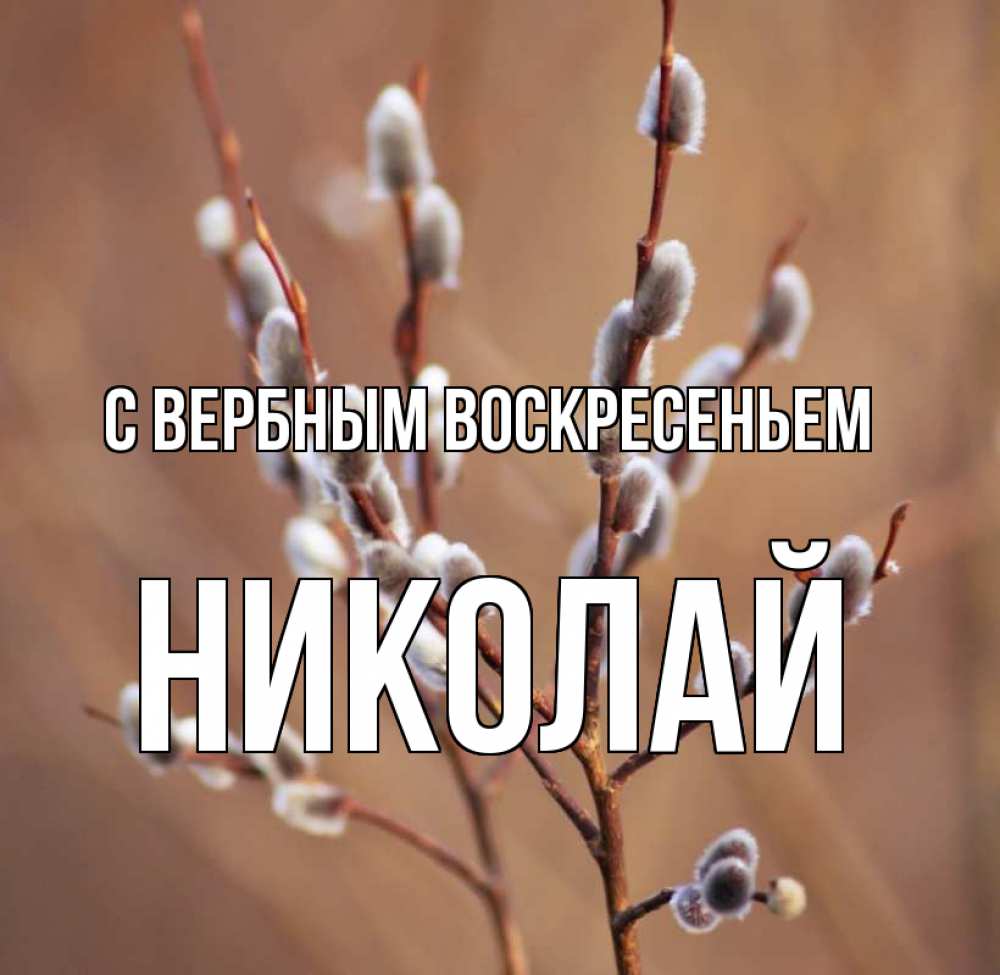 Открытка на каждый день с именем, Николай С вербным воскресеньем верба Прикольная открытка с пожеланием онлайн скачать бесплатно 