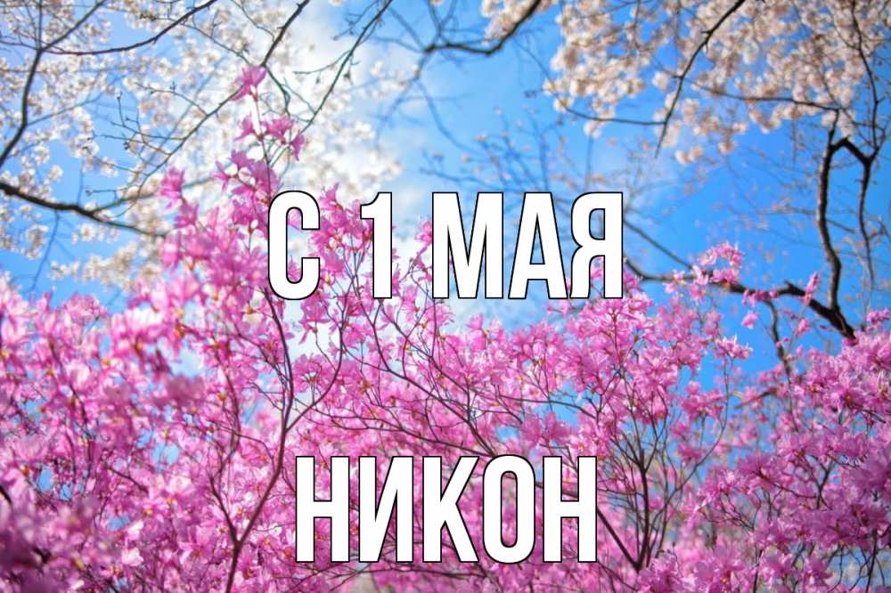 Открытка на каждый день с именем, Никон С 1 мая С 1 мая Прикольная открытка с пожеланием онлайн скачать бесплатно 