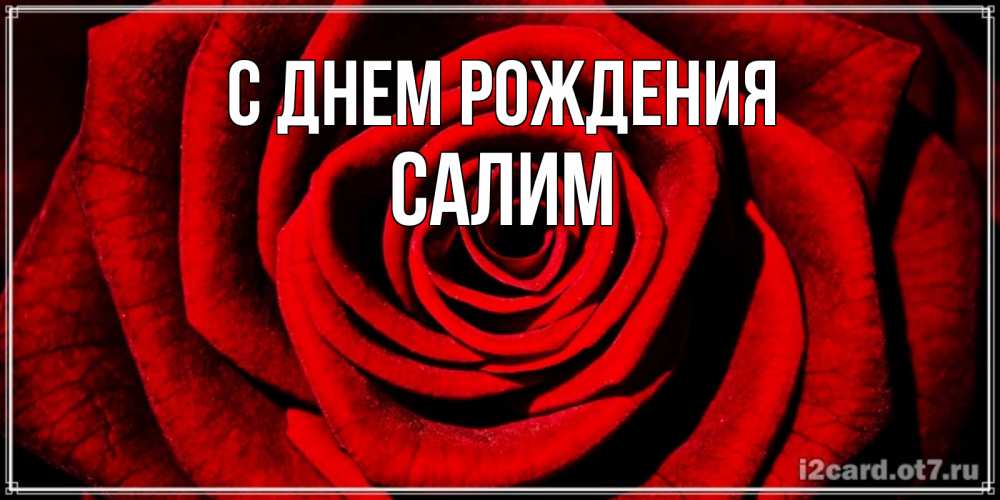 Открытка на каждый день с именем, Салим С днем рождения алая роза Прикольная открытка с пожеланием онлайн скачать бесплатно 
