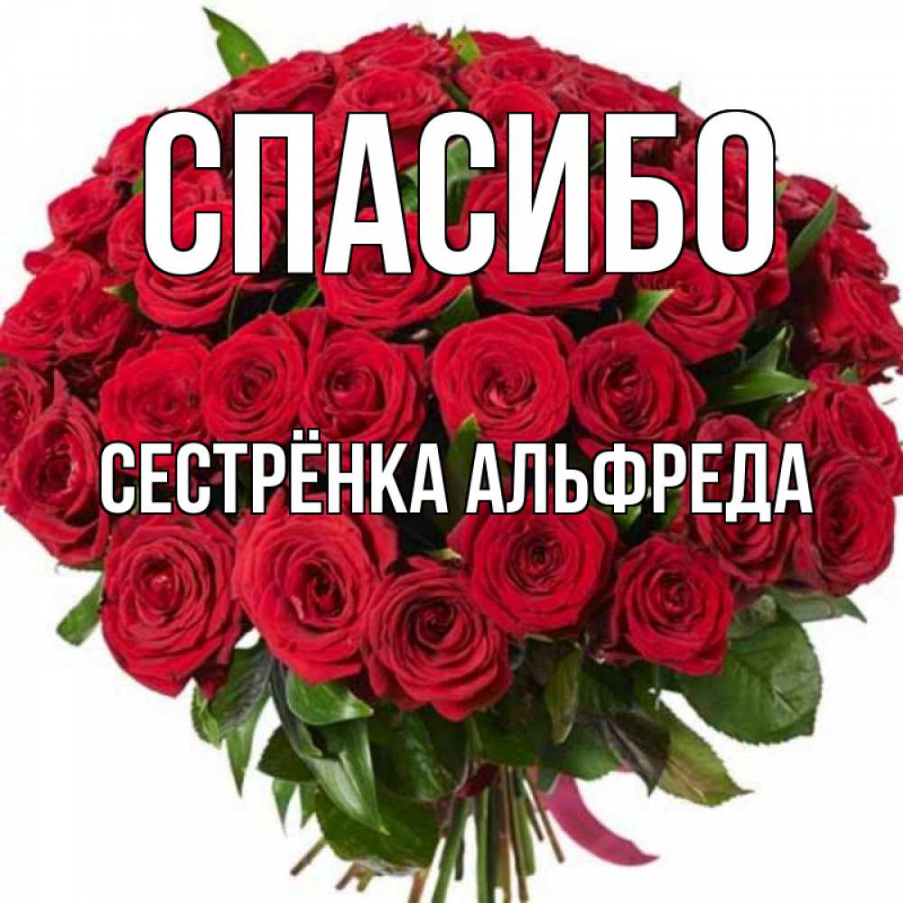 Открытка на каждый день с именем, Сестрёнка-Альфреда Спасибо букет красных роз Прикольная открытка с пожеланием онлайн скачать бесплатно 