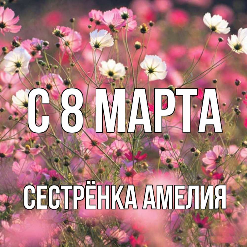 Открытка на каждый день с именем, Сестрёнка-Амелия С 8 МАРТА красиво 1 Прикольная открытка с пожеланием онлайн скачать бесплатно 