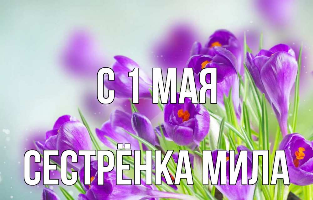 Открытка на каждый день с именем, Сестрёнка-Мила С 1 мая 1 мая Прикольная открытка с пожеланием онлайн скачать бесплатно 