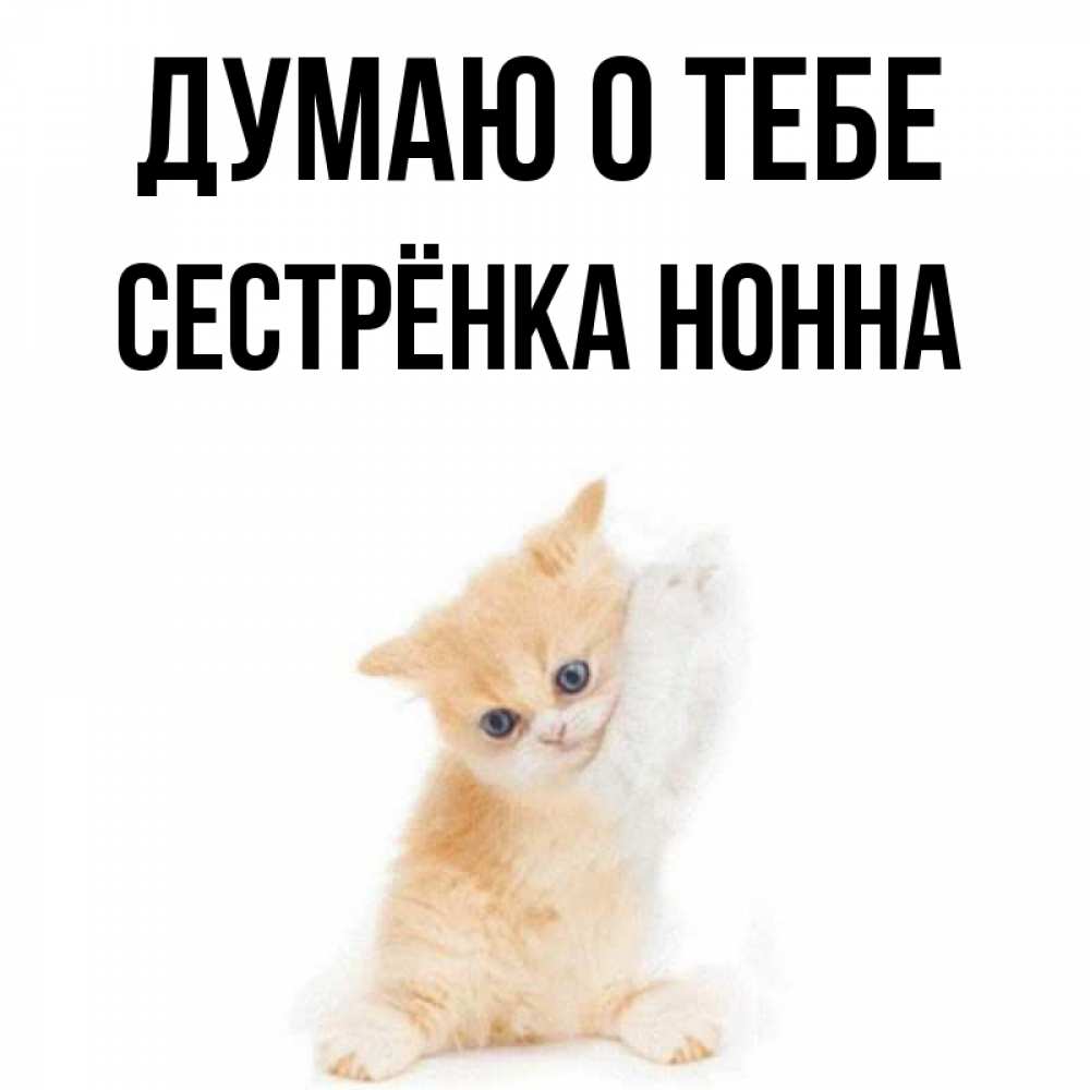 Открытка на каждый день с именем, Сестрёнка-Нонна Думаю о тебе зверушки и милота Прикольная открытка с пожеланием онлайн скачать бесплатно 