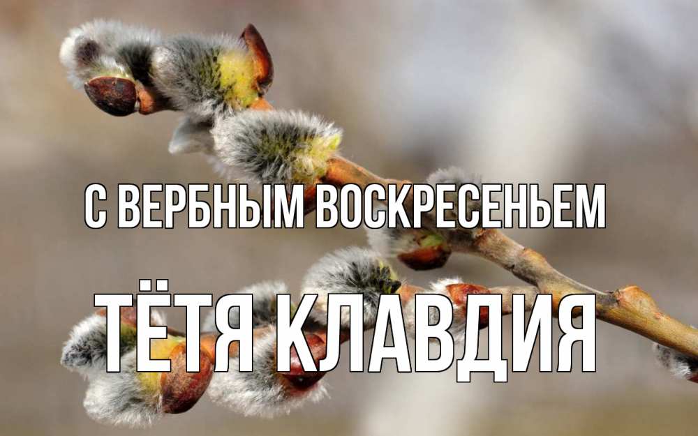 Открытка на каждый день с именем, Тётя-Клавдия С вербным воскресеньем Верба Прикольная открытка с пожеланием онлайн скачать бесплатно 