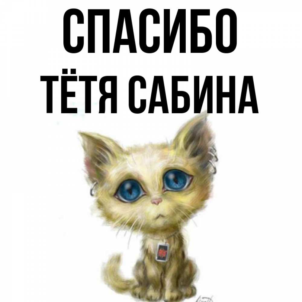 Открытка на каждый день с именем, Тётя-Сабина Спасибо рисованный кот благодарит вас Прикольная открытка с пожеланием онлайн скачать бесплатно 