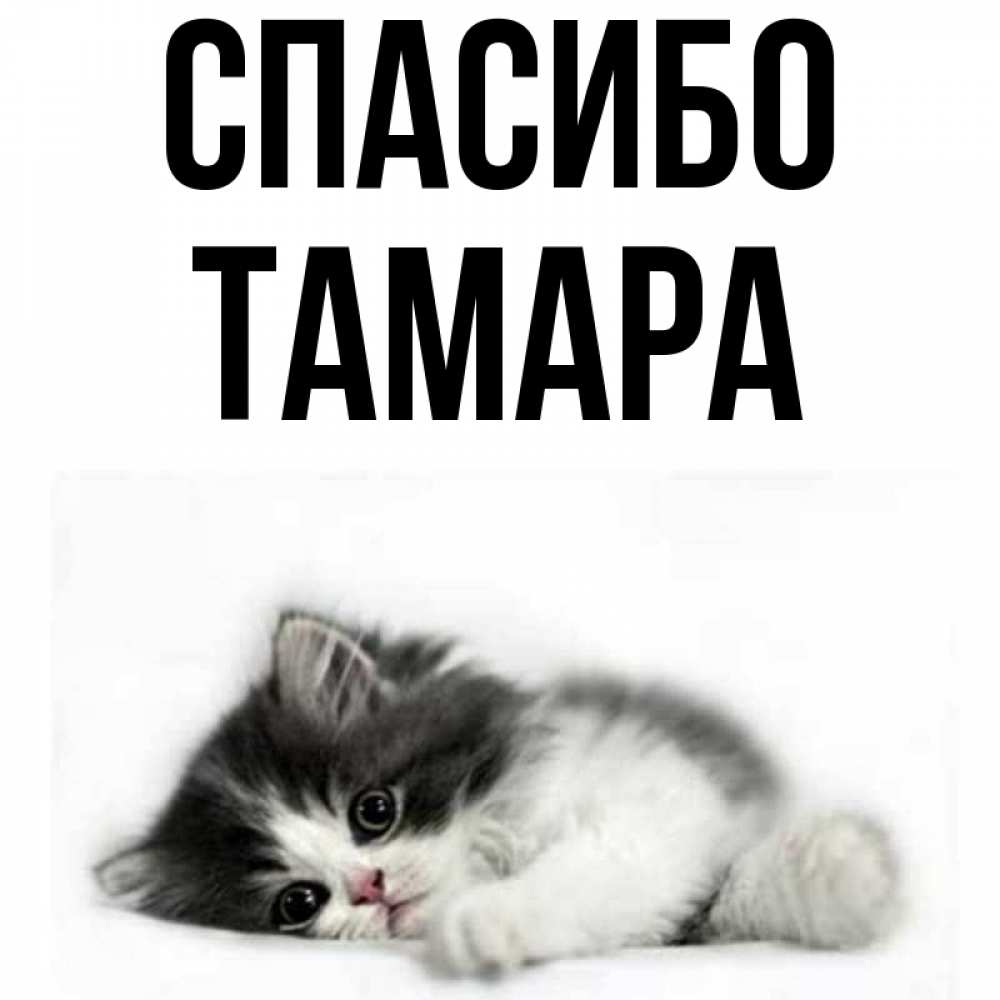 Открытки спасибо тамара