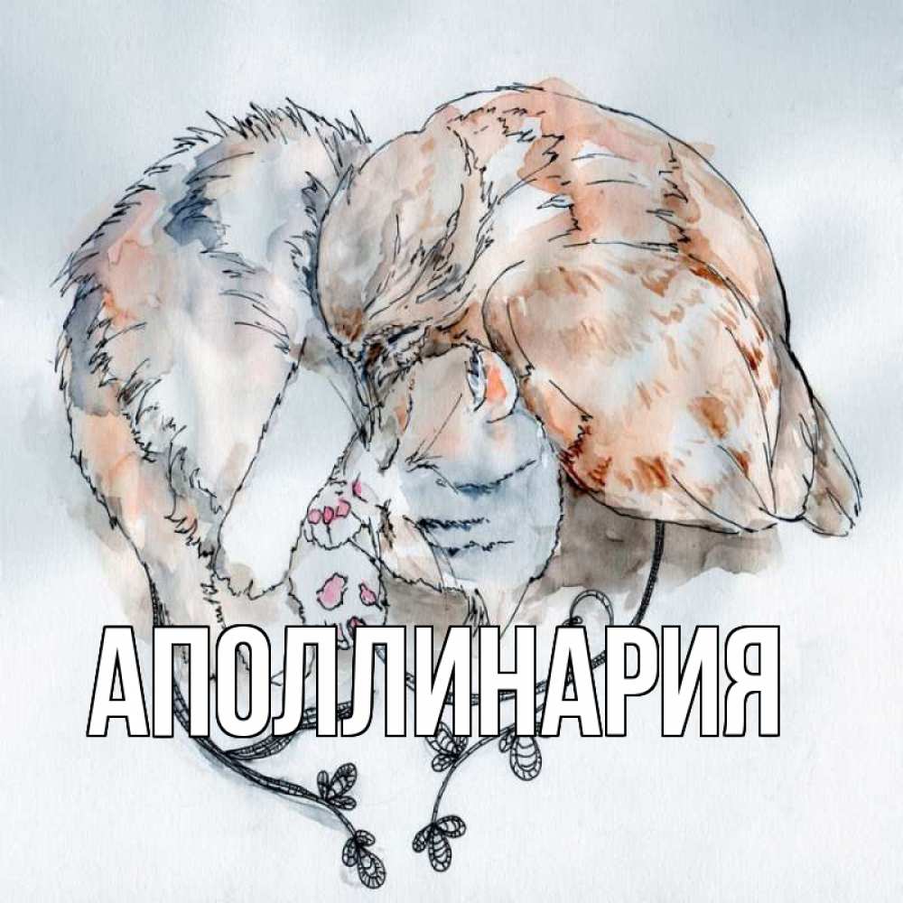 Открытка на каждый день с именем, Аполлинария Главная можно быть вместе даже когда очень разные Прикольная открытка с пожеланием онлайн скачать бесплатно 