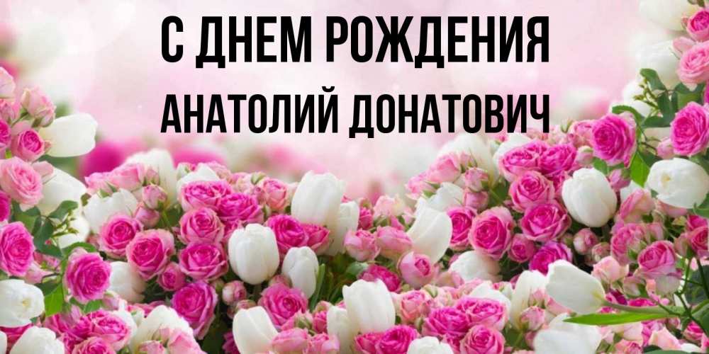 Картинка С днем рождения, Анатолий Донатович