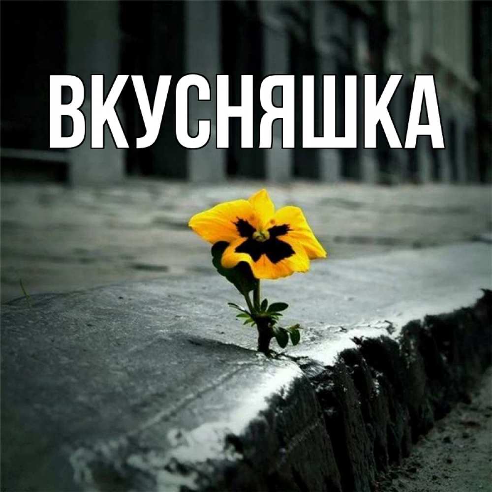 Открытка на каждый день с именем, Вкусняшка Главная надеюсь будет лучше Прикольная открытка с пожеланием онлайн скачать бесплатно 