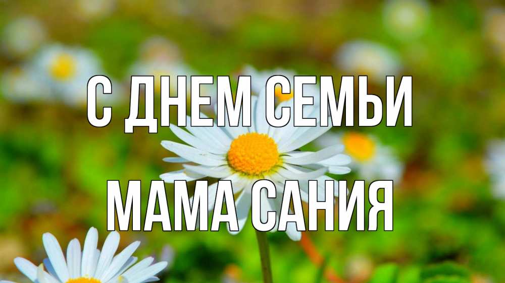 Открытка на каждый день с именем, Мама-Сания С днем семьи с днем семьи Прикольная открытка с пожеланием онлайн скачать бесплатно 