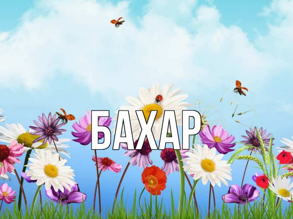 Открытка на каждый день с именем, Бахар Главная С 1 мая Прикольная открытка с пожеланием онлайн скачать бесплатно 