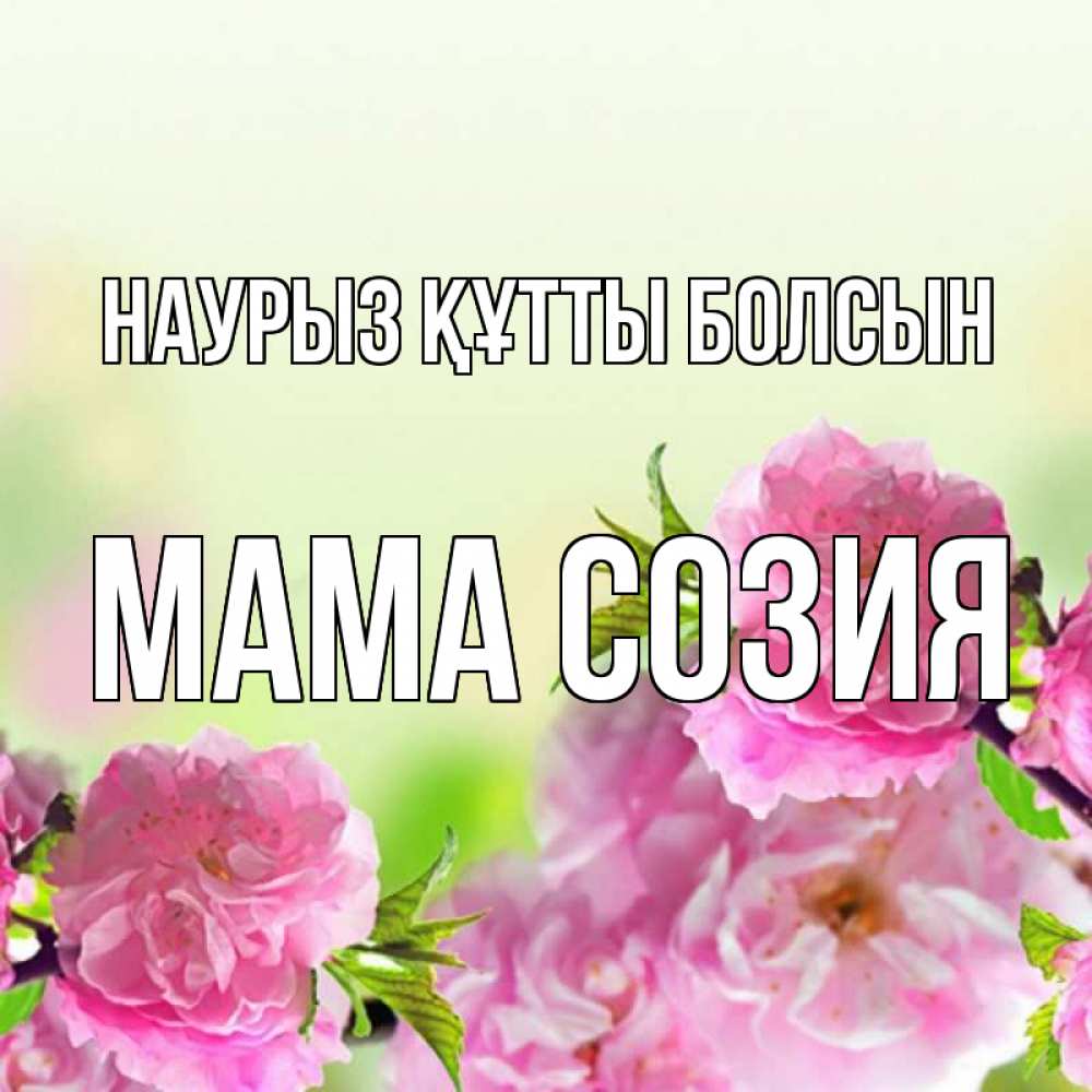 Открытка на каждый день с именем, Мама-Созия Наурыз құтты болсын цветы Прикольная открытка с пожеланием онлайн скачать бесплатно 
