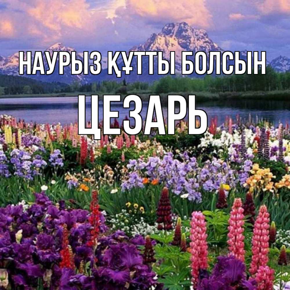 Открытка на каждый день с именем, Цезарь Наурыз құтты болсын наурыз Прикольная открытка с пожеланием онлайн скачать бесплатно 