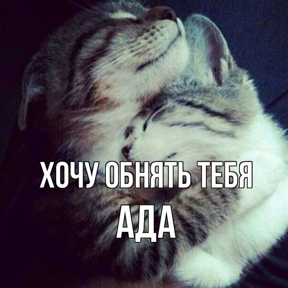Открытка на каждый день с именем, Ада Хочу обнять тебя полосатики Прикольная открытка с пожеланием онлайн скачать бесплатно 