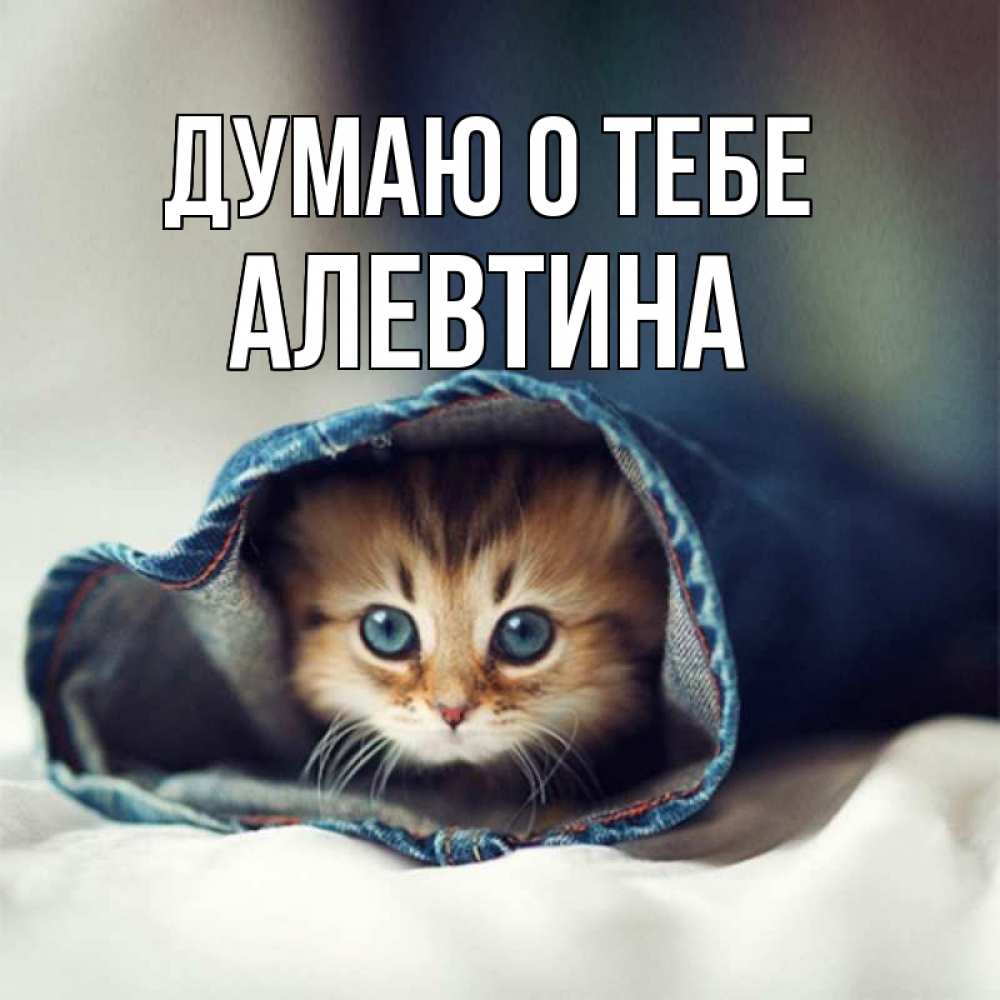 Открытка на каждый день с именем, Алевтина Думаю о тебе мне без тебя плохо Прикольная открытка с пожеланием онлайн скачать бесплатно 