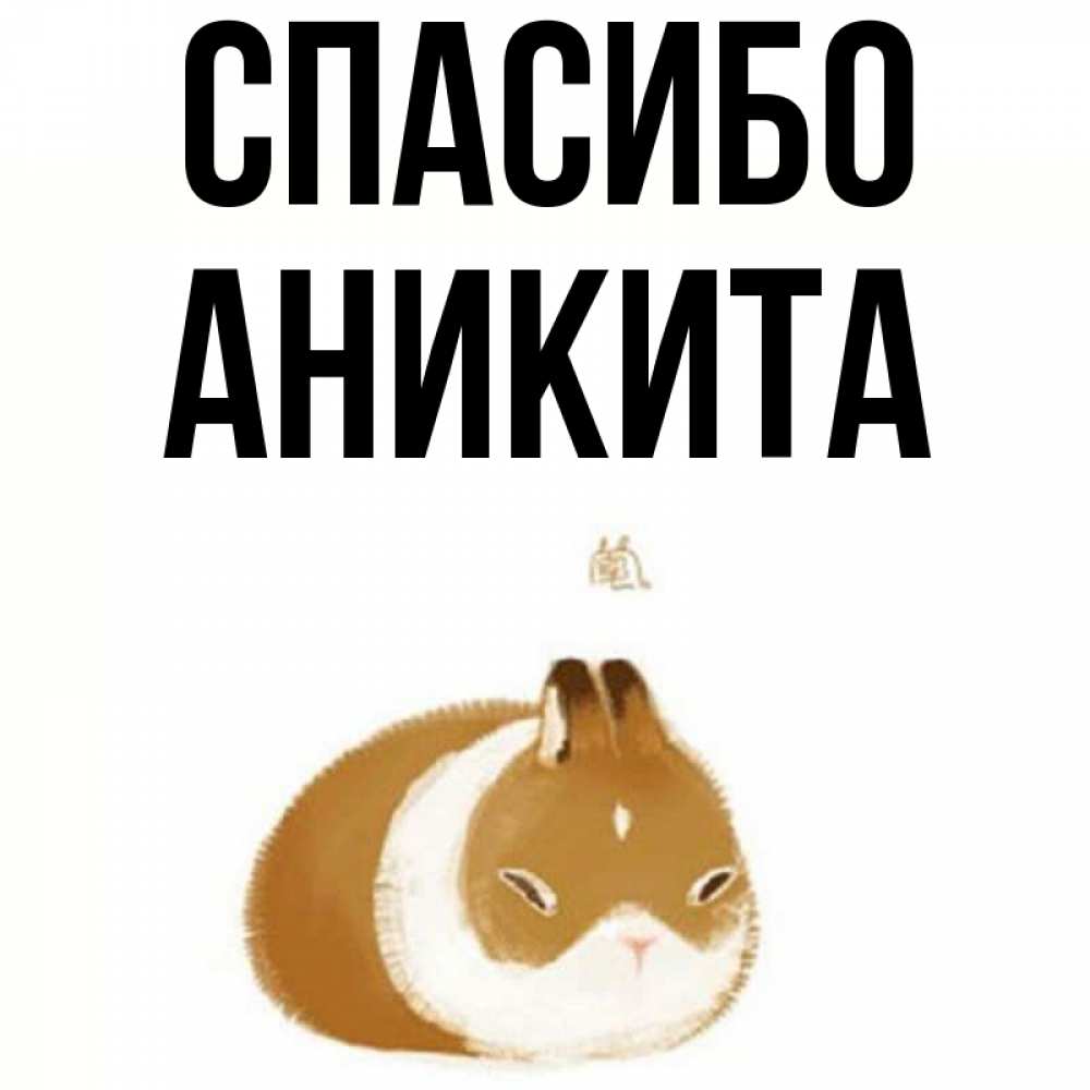 Открытка на каждый день с именем, Аникита Спасибо коричнево белый домашний питомец Прикольная открытка с пожеланием онлайн скачать бесплатно 