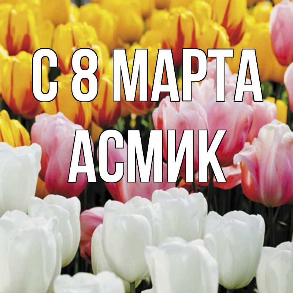 Открытка на каждый день с именем, Асмик С 8 марта разноцветные цветы Прикольная открытка с пожеланием онлайн скачать бесплатно 