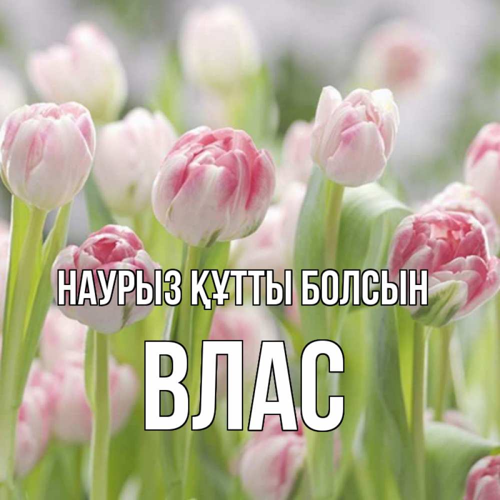 Открытка на каждый день с именем, Влас Наурыз құтты болсын цветы Прикольная открытка с пожеланием онлайн скачать бесплатно 