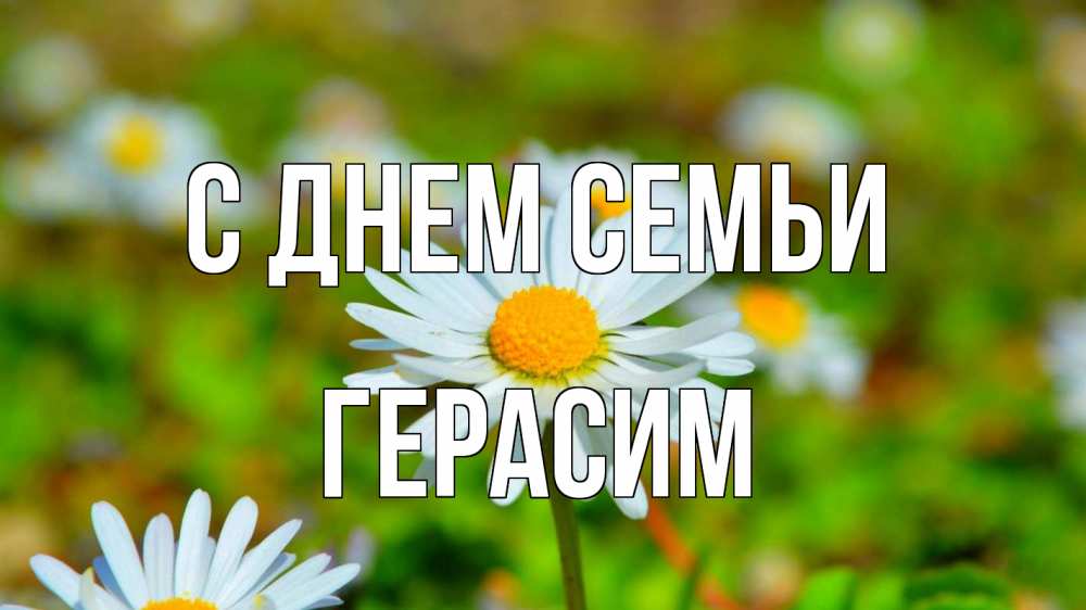 Открытка на каждый день с именем, Герасим С днем семьи с днем семьи Прикольная открытка с пожеланием онлайн скачать бесплатно 