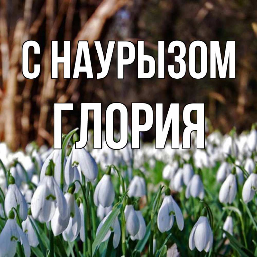Открытка на каждый день с именем, Глория С наурызом с подснежниками 1 Прикольная открытка с пожеланием онлайн скачать бесплатно 