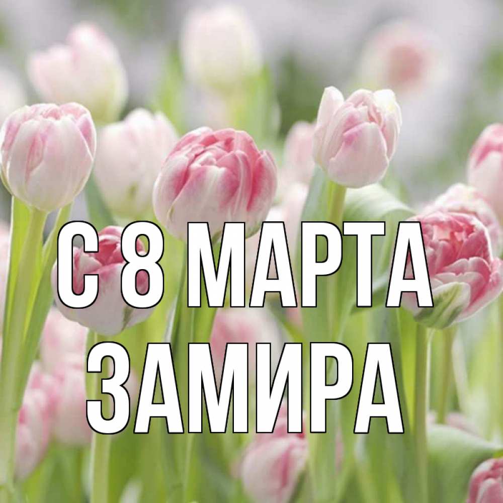 Открытка на каждый день с именем, Замира С 8 марта цветы Прикольная открытка с пожеланием онлайн скачать бесплатно 