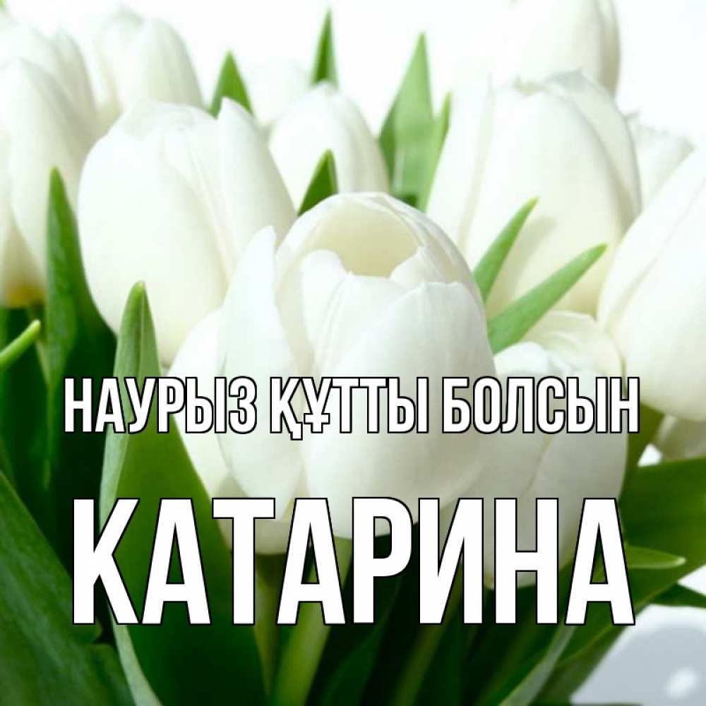 Открытка на каждый день с именем, Катарина Наурыз құтты болсын цветы Прикольная открытка с пожеланием онлайн скачать бесплатно 