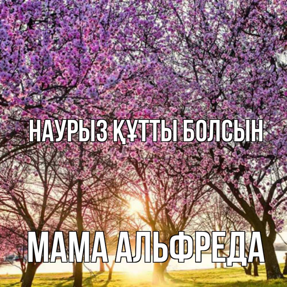 Открытка на каждый день с именем, Мама-Альфреда Наурыз құтты болсын наурыз Прикольная открытка с пожеланием онлайн скачать бесплатно 