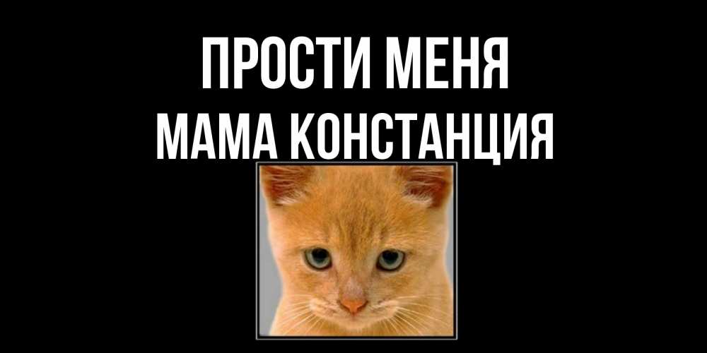 Открытка на каждый день с именем, Мама-Констанция Прости меня рыжий грустный кот просит прощения Прикольная открытка с пожеланием онлайн скачать бесплатно 