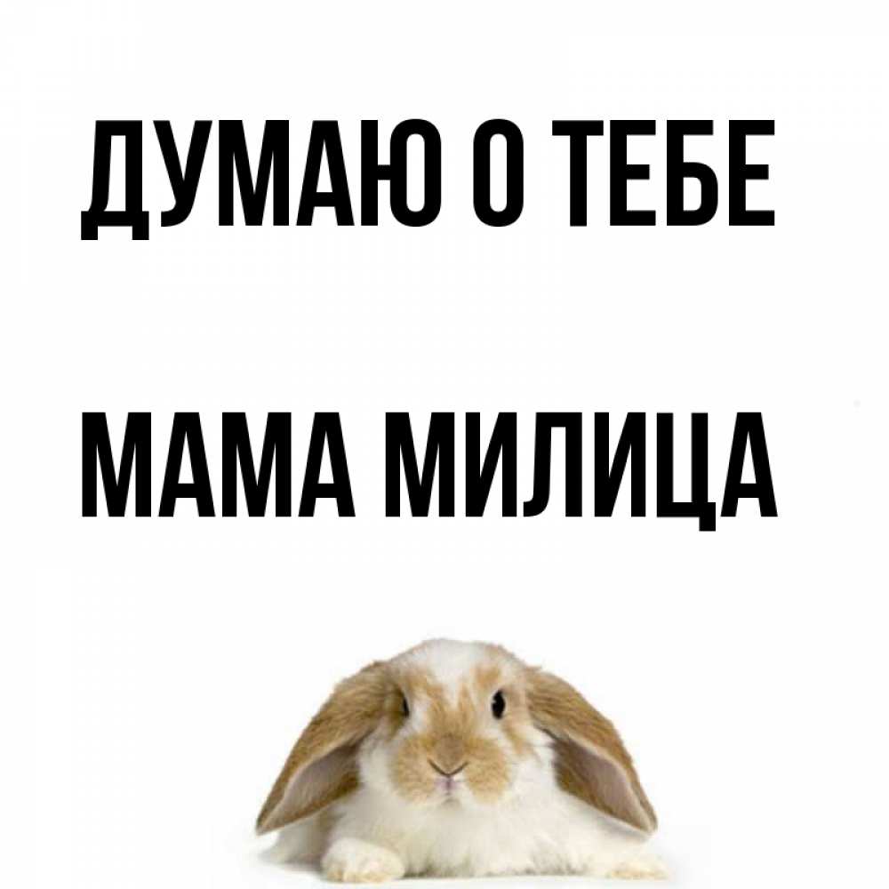 Открытка на каждый день с именем, Мама-Милица Думаю о тебе подписать своими руками онлайн Прикольная открытка с пожеланием онлайн скачать бесплатно 