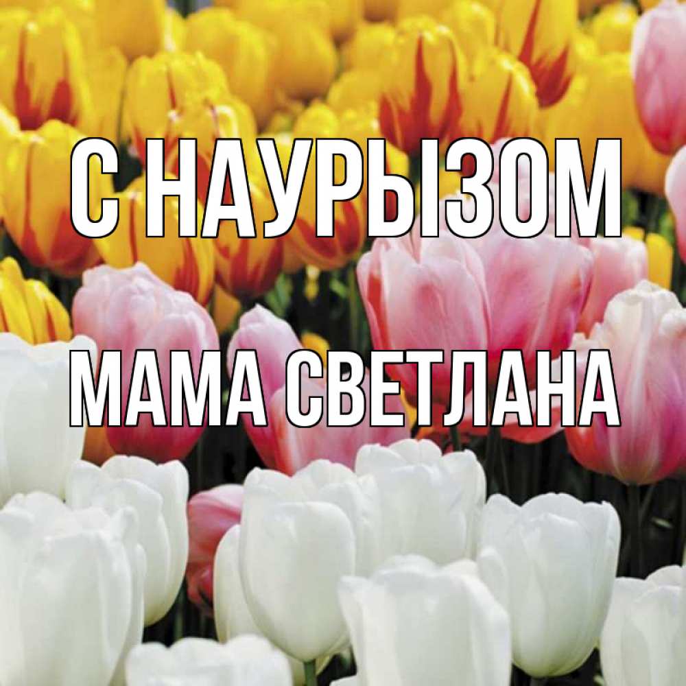 Открытка на каждый день с именем, Мама-Светлана С наурызом разноцветные цветы Прикольная открытка с пожеланием онлайн скачать бесплатно 