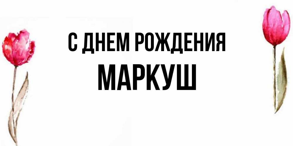 Открытка на каждый день с именем, Маркуш С днем рождения открытки акварелью с цветами Прикольная открытка с пожеланием онлайн скачать бесплатно 