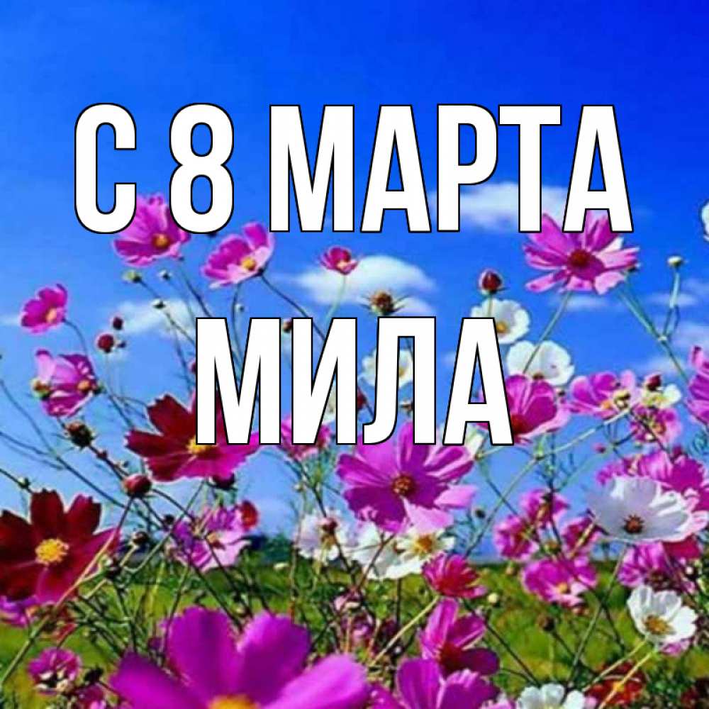 Открытка на каждый день с именем, Мила С 8 МАРТА цветы Прикольная открытка с пожеланием онлайн скачать бесплатно 