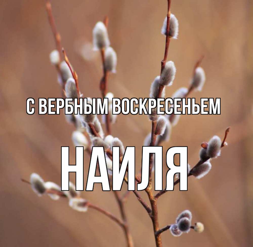 Открытка на каждый день с именем, Наиля С вербным воскресеньем верба Прикольная открытка с пожеланием онлайн скачать бесплатно 