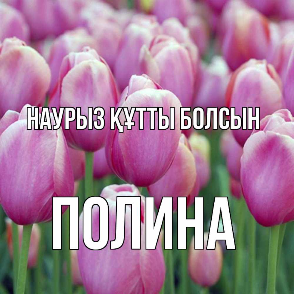 Открытка на каждый день с именем, Полина Наурыз құтты болсын на наурыз  день 3 Прикольная открытка с пожеланием онлайн скачать бесплатно 