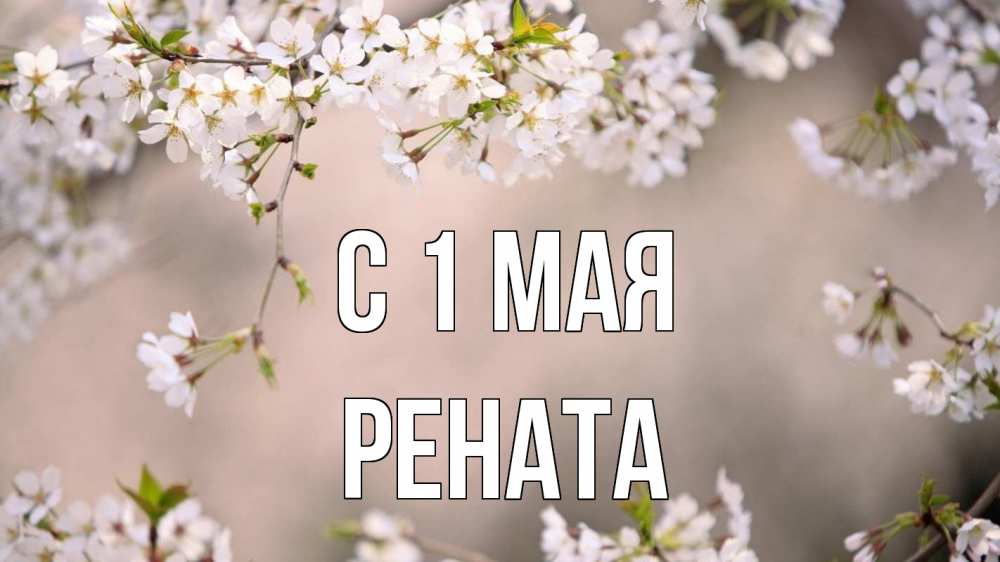 Открытка на каждый день с именем, Рената С 1 мая С 1 мая Прикольная открытка с пожеланием онлайн скачать бесплатно 