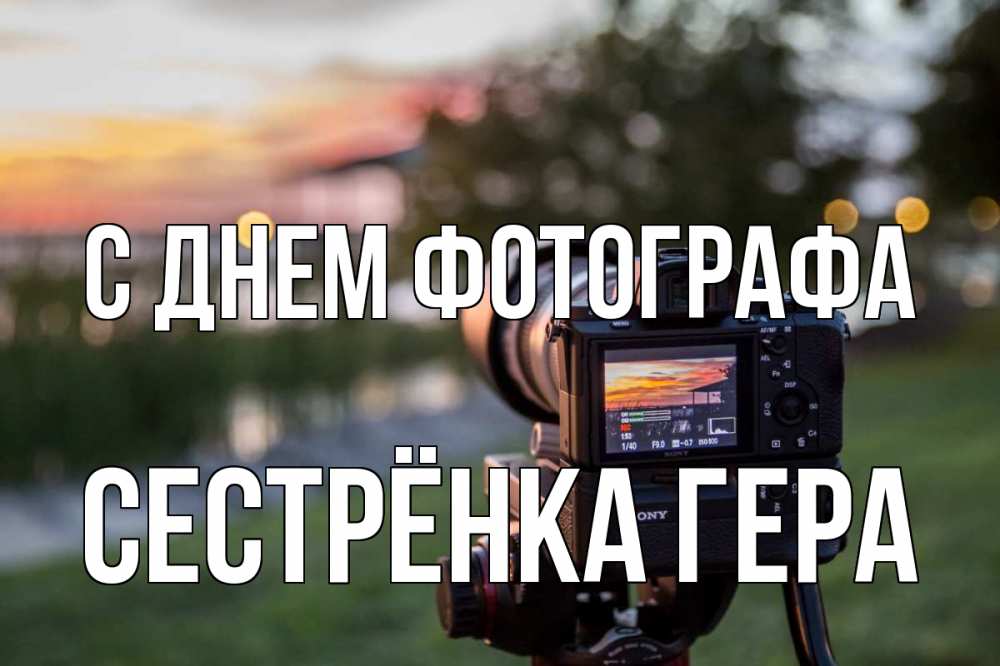 Открытка на каждый день с именем, Сестрёнка-Гера С днем фотографа с днем фотографа Прикольная открытка с пожеланием онлайн скачать бесплатно 