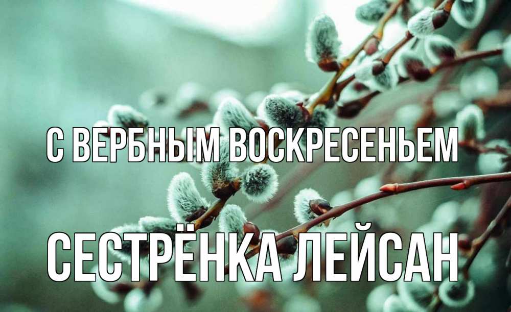 Открытка на каждый день с именем, Сестрёнка-Лейсан С вербным воскресеньем верба Прикольная открытка с пожеланием онлайн скачать бесплатно 