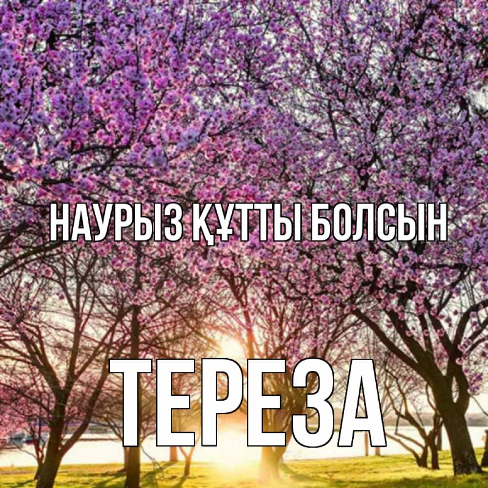 Открытка на каждый день с именем, Тереза Наурыз құтты болсын наурыз Прикольная открытка с пожеланием онлайн скачать бесплатно 