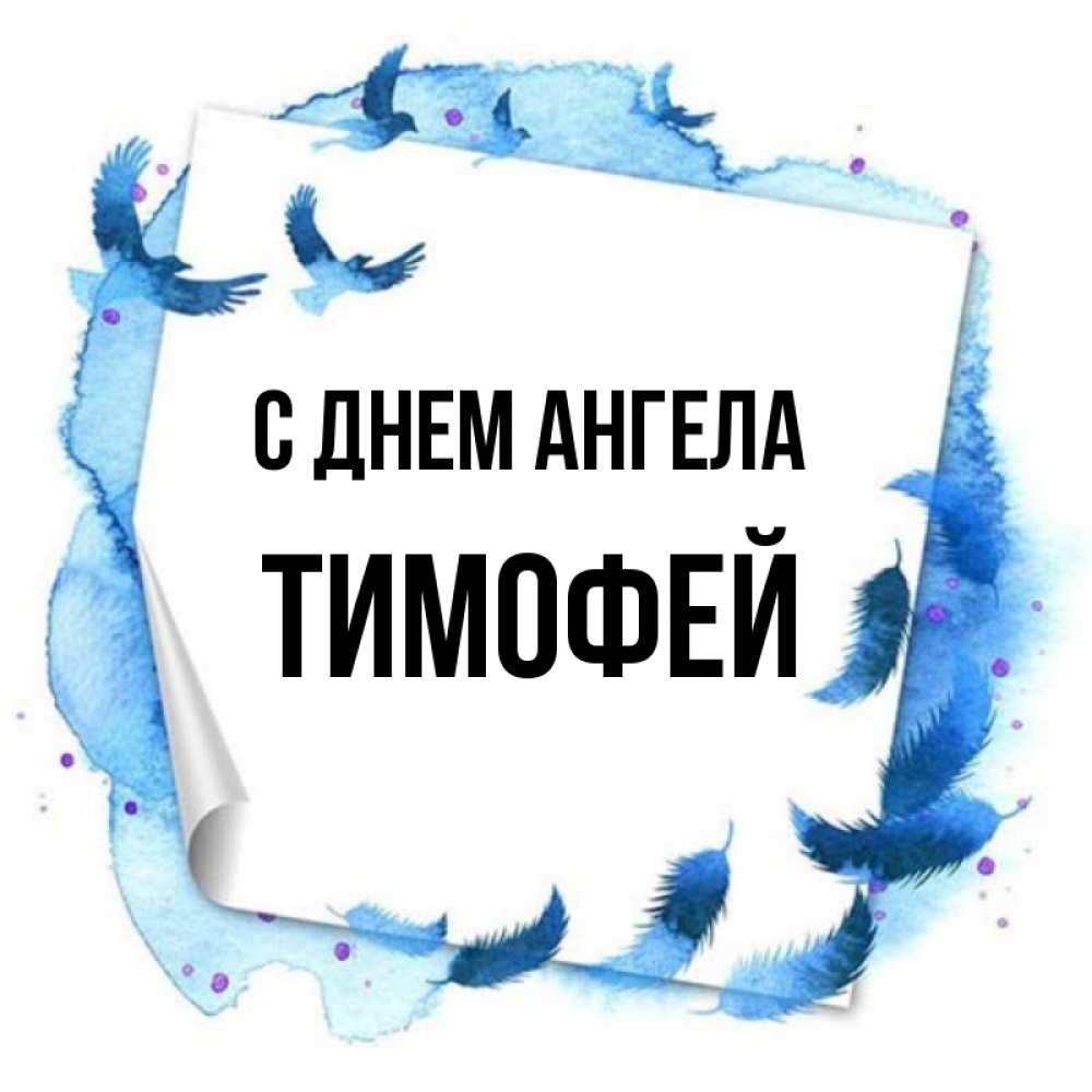 Открытка на каждый день с именем, Тимофей С днем ангела красивые птицы летят Прикольная открытка с пожеланием онлайн скачать бесплатно 