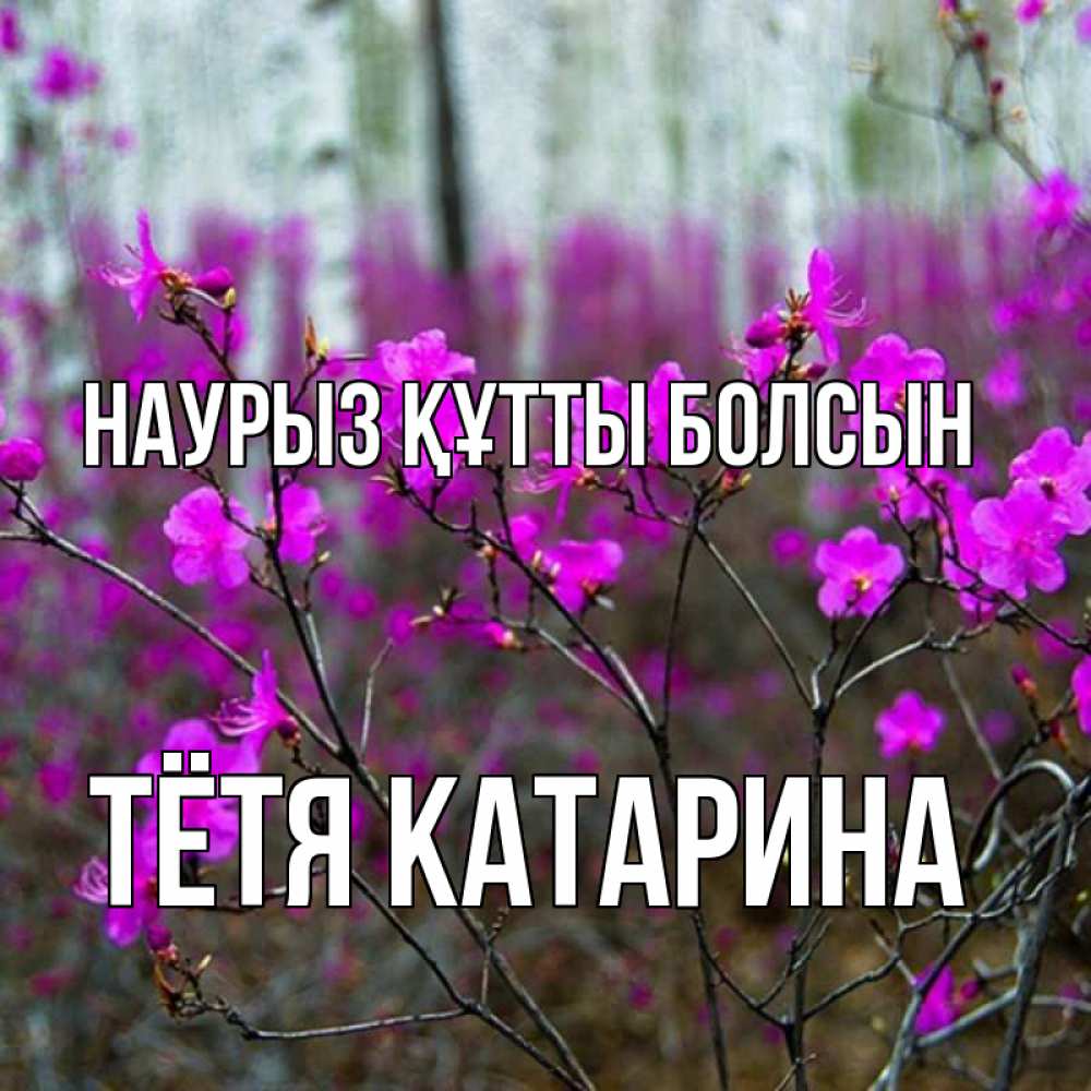 Открытка на каждый день с именем, Тётя-Катарина Наурыз құтты болсын дикие цветы Прикольная открытка с пожеланием онлайн скачать бесплатно 