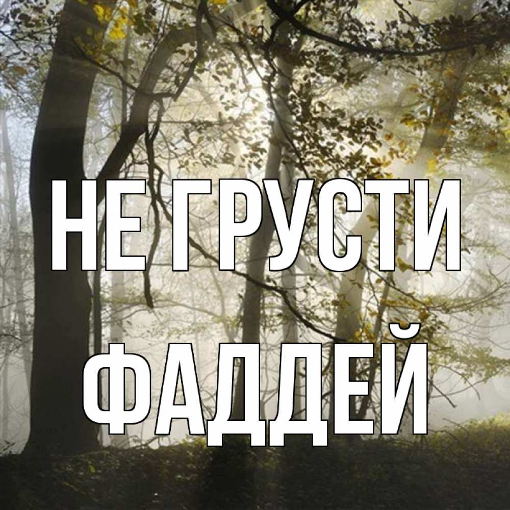 Открытка на каждый день с именем, Фаддей Не грусти лес и свет Прикольная открытка с пожеланием онлайн скачать бесплатно 