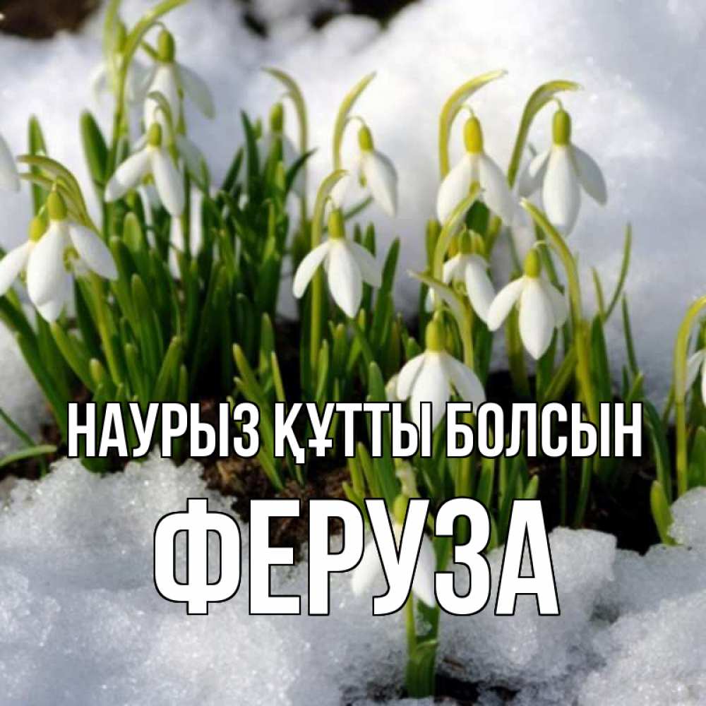 Открытка на каждый день с именем, Феруза Наурыз құтты болсын цветы весенние Прикольная открытка с пожеланием онлайн скачать бесплатно 