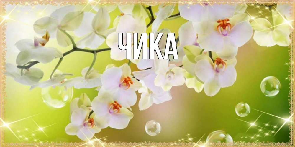 Открытка на каждый день с именем, Чика Главная открытка с цветами на международный женский день Прикольная открытка с пожеланием онлайн скачать бесплатно 