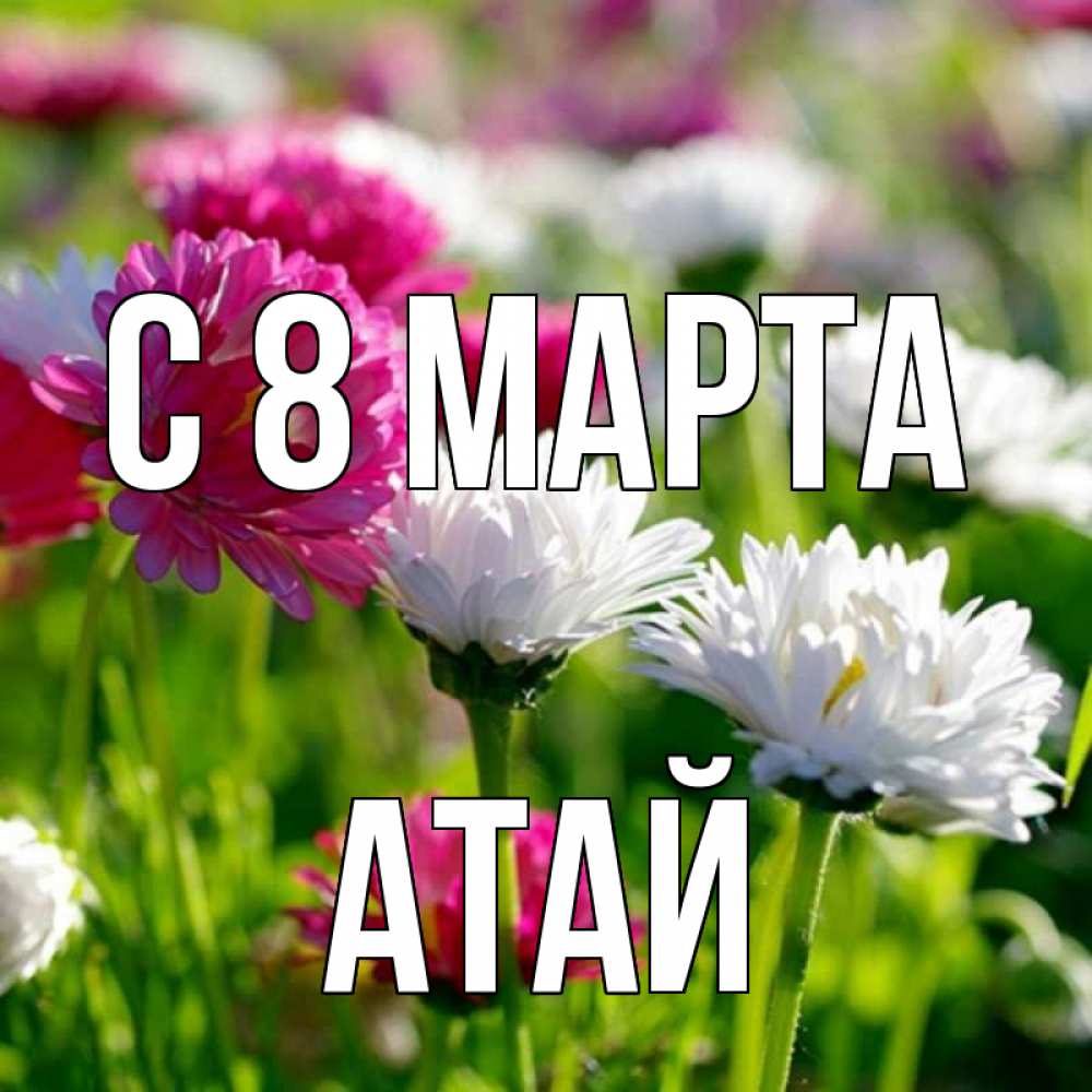 Открытка на каждый день с именем, Атай С 8 марта международный женский день 1 Прикольная открытка с пожеланием онлайн скачать бесплатно 
